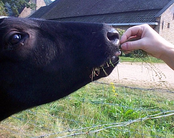 Arnhem-Openluchtmuseum-7.jpg - 84.60 K