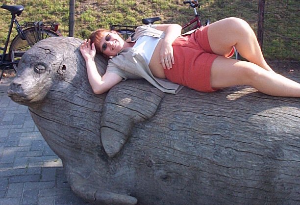 Province de Groningen-Pieterburen-Hopital pour phoques-4.jpg - 75.34 K