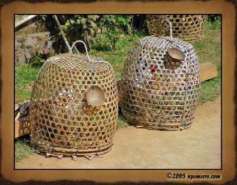 Excursion Bali Mystique (2005)