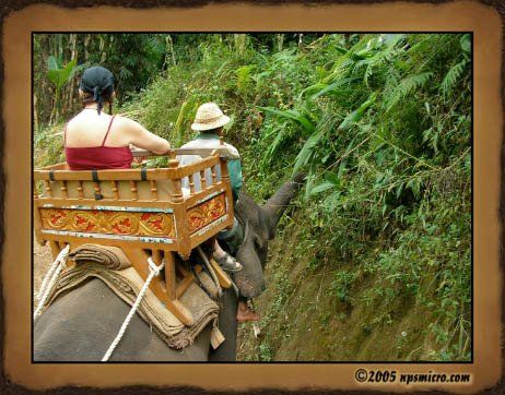 Tout un appétit cette petite de 9 ans
