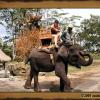 Bali 2005