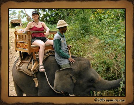 Excursion Kintamani (2005)