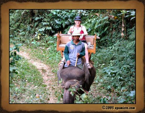Excursion Kintamani (2005)