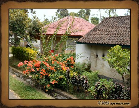 Excursion Kintamani (2005)