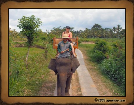 Excursion Kintamani (2005)