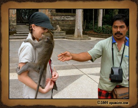 Forêt des singes de Sangeh (2005)