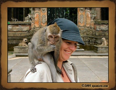 Forêt des singes de Sangeh (2005)