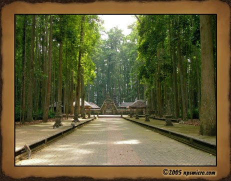 Forêt des singes de Sangeh (2005)