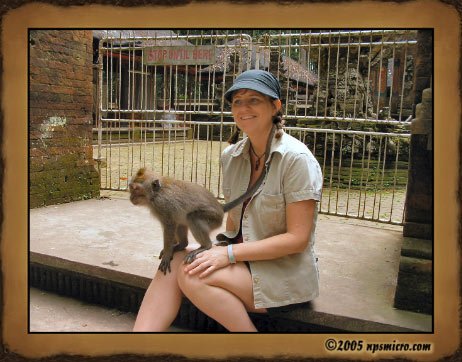 Forêt des singes de Sangeh (2005)