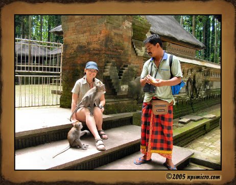 Forêt des singes de Sangeh (2005)