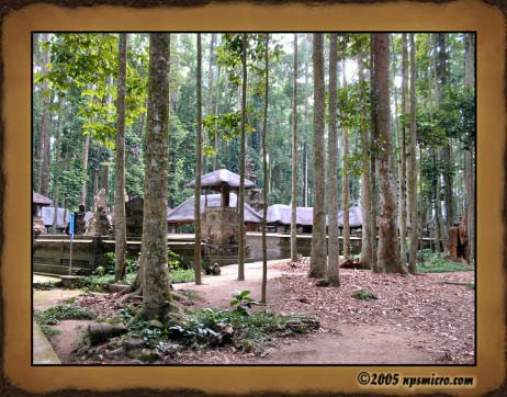 Forêt des singes de Sangeh (2005)