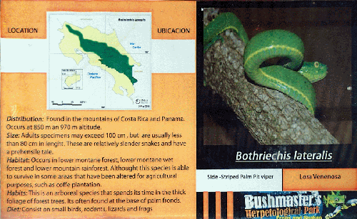 Ferme des reptiles et papillons