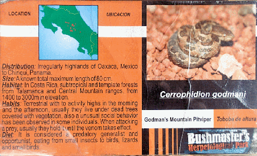 Ferme des reptiles et papillons