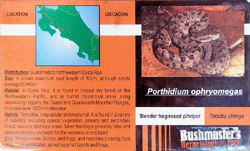 Ferme des reptiles et papillons