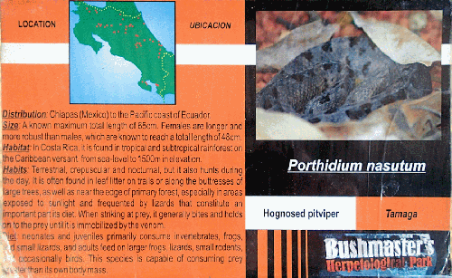 Ferme des reptiles et papillons