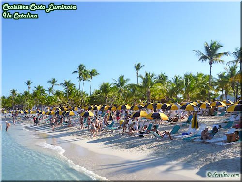 La plage et ses jolies palmiers
