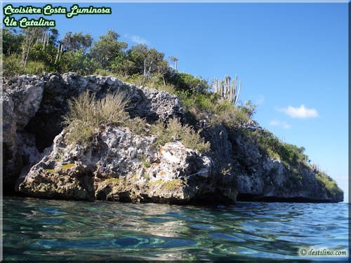 Snorkeling at Catalina Island (Costa Luminosa)