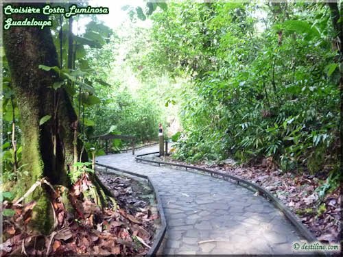 Cascade aux Ecrevisses