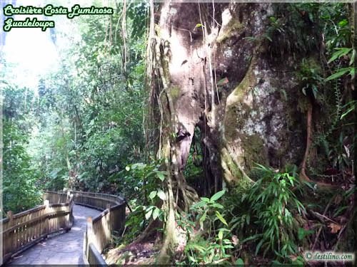 Cascade aux Ecrevisses