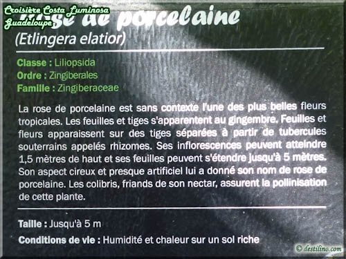 Parc des Mamelles (Basse-Terre)