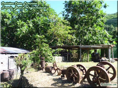 Distillerie Canewood