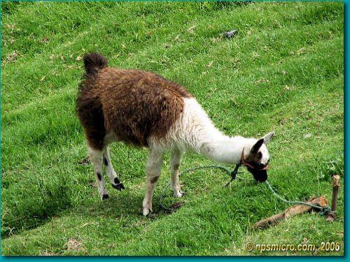 Province de Imbabura (2006)