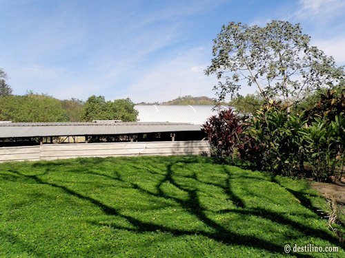 Parque Joya de Ceren Le site est couvert pour la protection des vestiges  