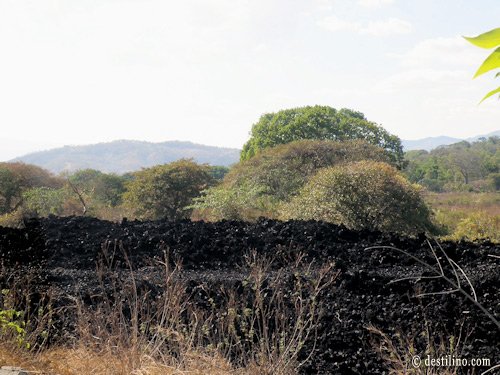 Diner au café San Fernando. Lave, vestige de la dernière éruption 