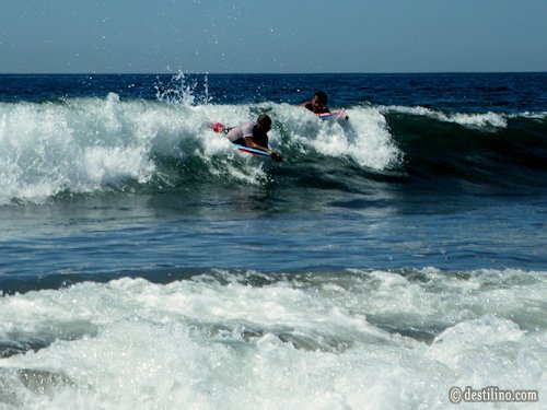 Le club offre gratuitement des planches de « boogie board » pour ceux qui n'ont pas peur des vagues! 