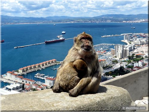 Gibraltar (2016)