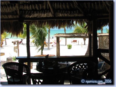 Hôtel Casa Las Tortugas