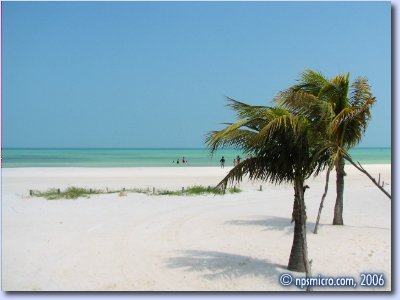 Hôtel Palapas del Sol