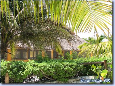 Hôtel Villas Delfines