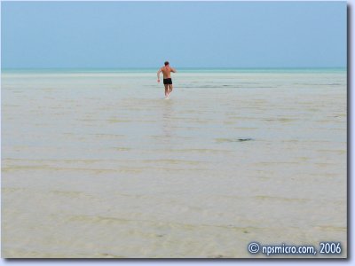 Petite course dans l'eau