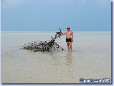 Désertes, les plages de l'est
