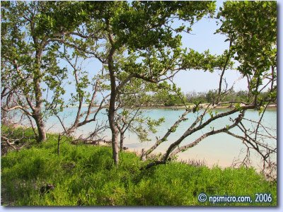 Le canal qui divise l'île