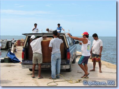 Chiquila — Le plein du traversier