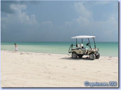 Lily et les coquillages