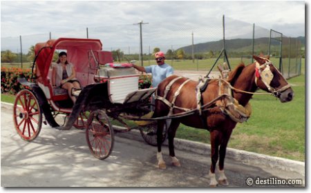 Départ en calèche. 4 CUC/pers. pour un aller-retour (trajet de 17 mins) et une heure au chute