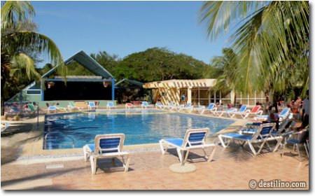 La piscine et l'animation en arrière-plan 