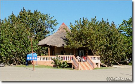 Le snack bar (ranchon de plage) 