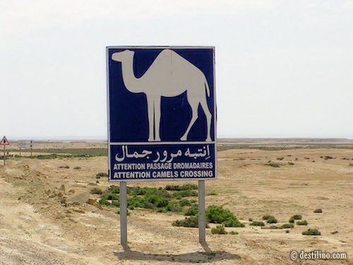 Balade en 4x4. En route vers la chute de Tamaghza