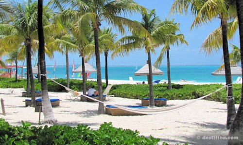 Secteur de plage, derrière la dune