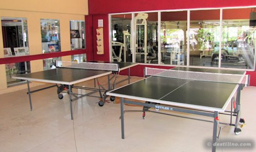 Tables de ping-pong (près de la réception