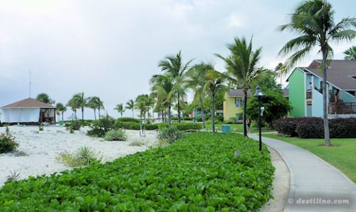 Secteur Est, le gazebo des massages à gauche sur la photo