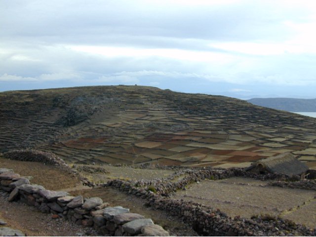 Amantani - 9