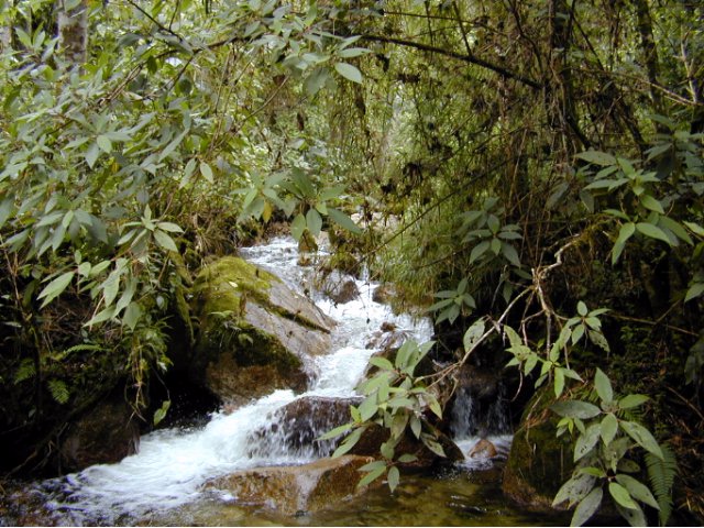 Camino Inca