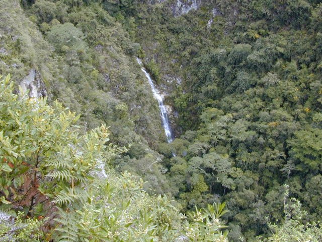 Camino Inca