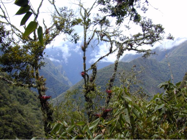 Camino Inca