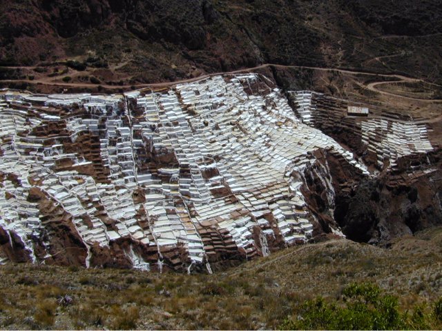 Maras